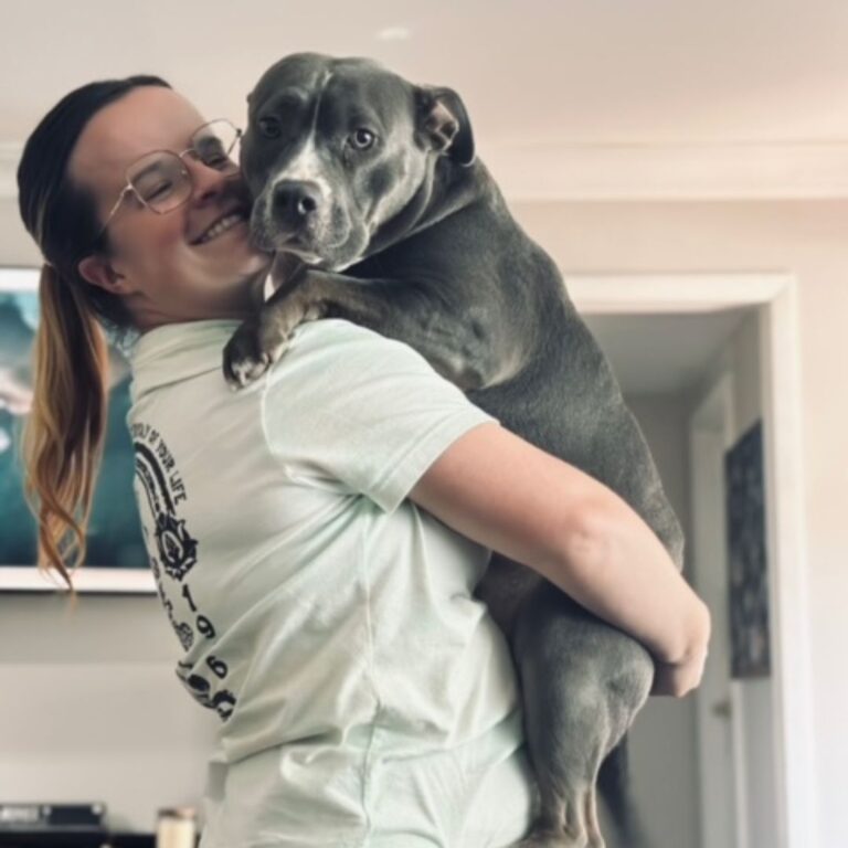 Carly — Off Leash K9 Training of Gainesvile